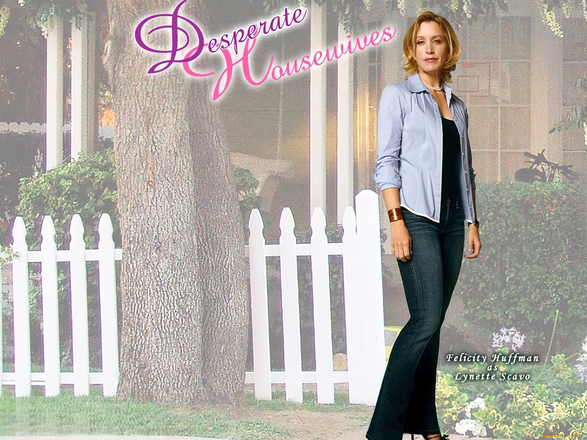  , desperate housewives, , , , , 